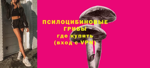 бошки Алзамай