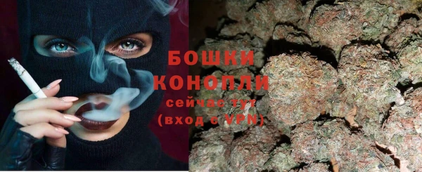 PSILOCYBIN Абаза